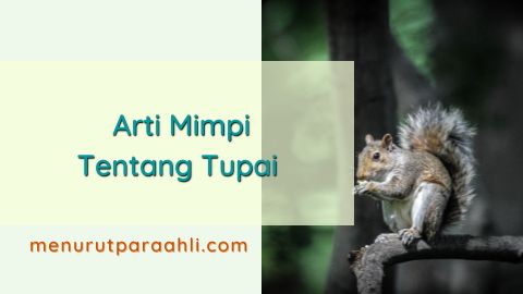 Detail Tupai Buku Mimpi Nomer 38