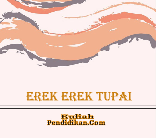 Detail Tupai Dlm Buku Mimpi Togel Nomer 13