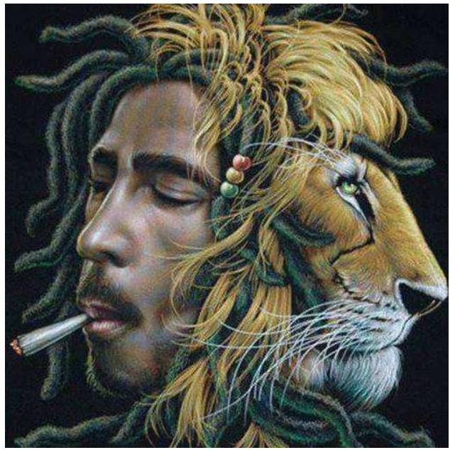Detail Bob Marley Diamond Painting Nomer 3