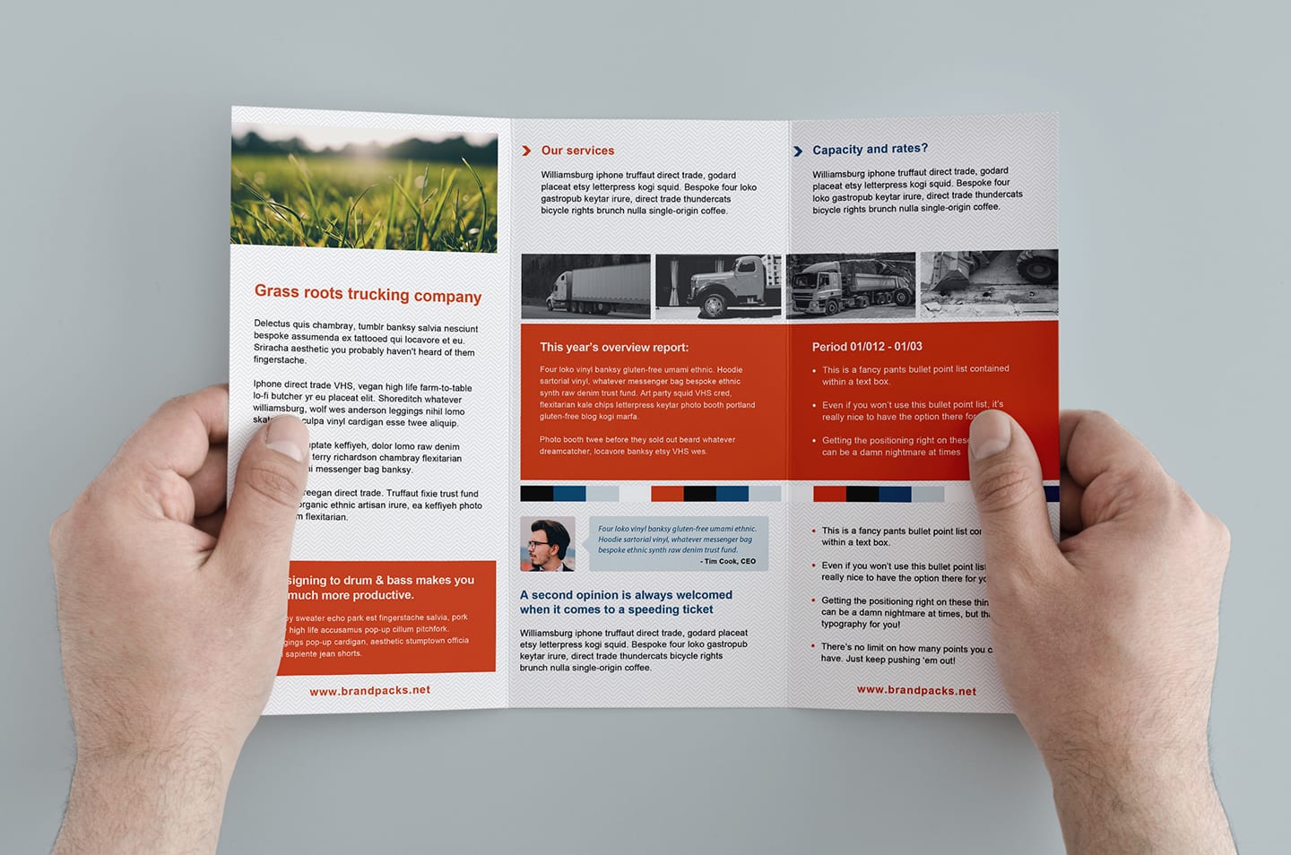 Detail Brochure Template Ai Nomer 2