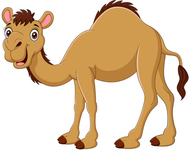 Camel Clipart Images - KibrisPDR