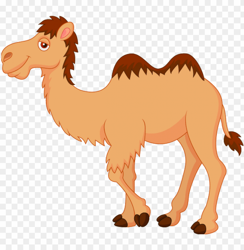 Detail Camel Clipart Images Nomer 20