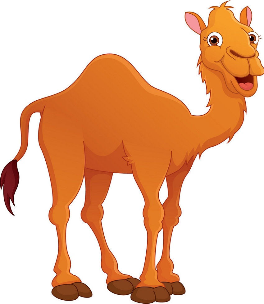 Detail Camel Clipart Images Nomer 4