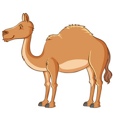 Detail Camel Clipart Images Nomer 31