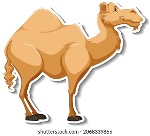 Detail Camel Clipart Images Nomer 38