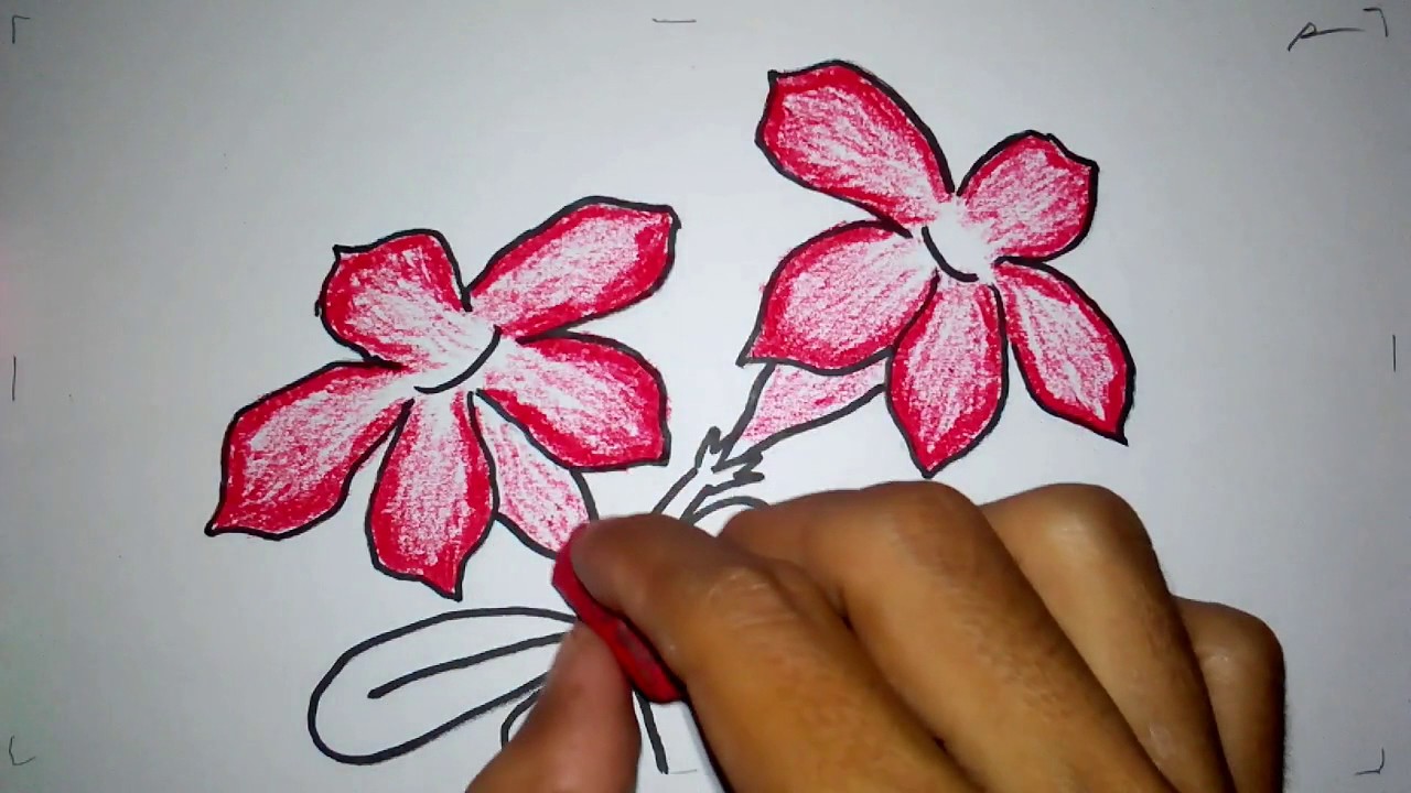 Detail Cara Menggambar Bunga Kamboja Langkah Demi Langkah Nomer 4