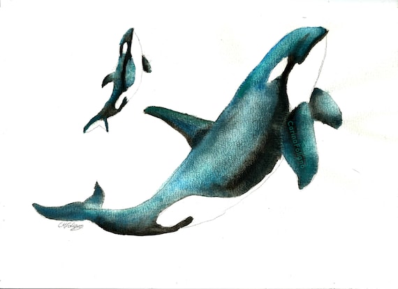 Detail Delfin Gemalt Nomer 14