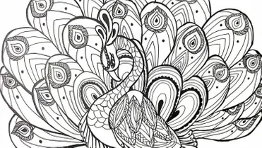 Detail Gambar Sketsa Burung Merak Nomer 20
