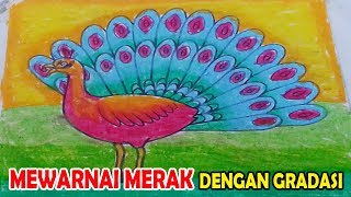 Detail Gambar Sketsa Burung Merak Nomer 37