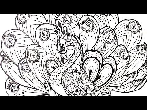 Detail Gambar Sketsa Burung Merak Nomer 44