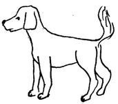 Detail Hund Strichzeichnung Nomer 2