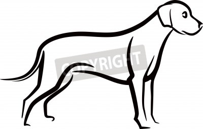 Detail Hund Strichzeichnung Nomer 11