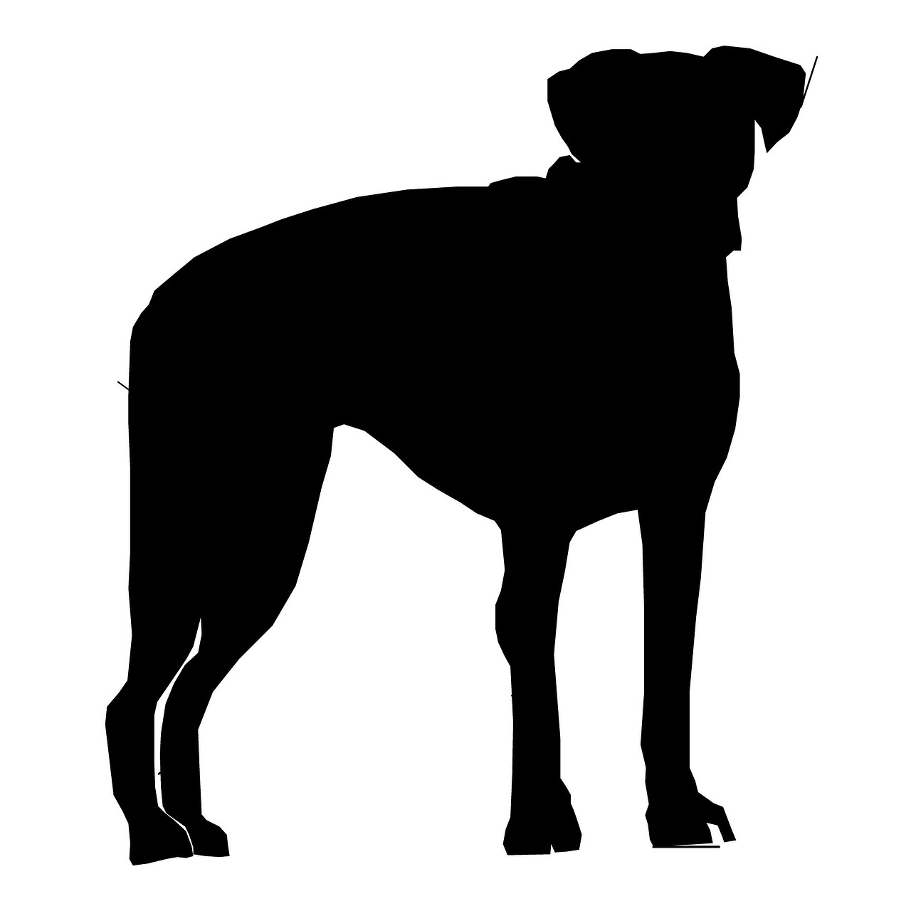 Detail Hund Strichzeichnung Nomer 12