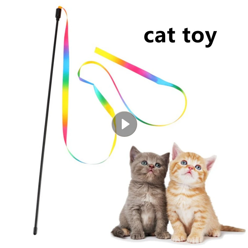Detail Katze Regenbogen Nomer 17