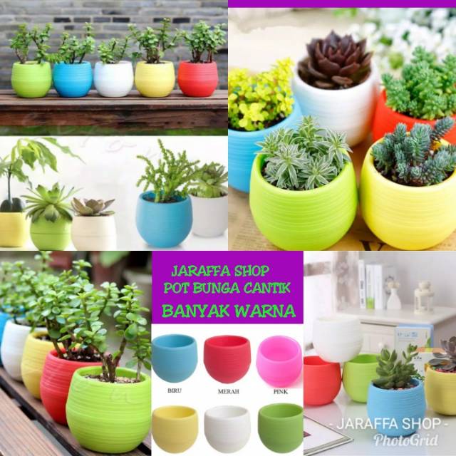 Detail Pot Bunga Warna Warni Nomer 19