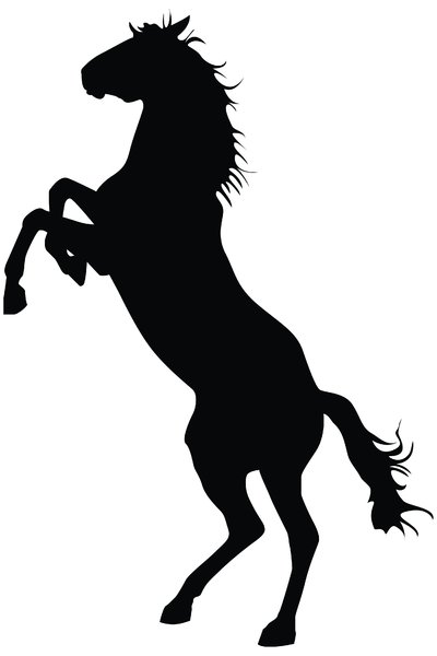 Detail Stehendes Pferd Nomer 4