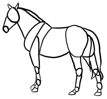 Detail Stehendes Pferd Nomer 9