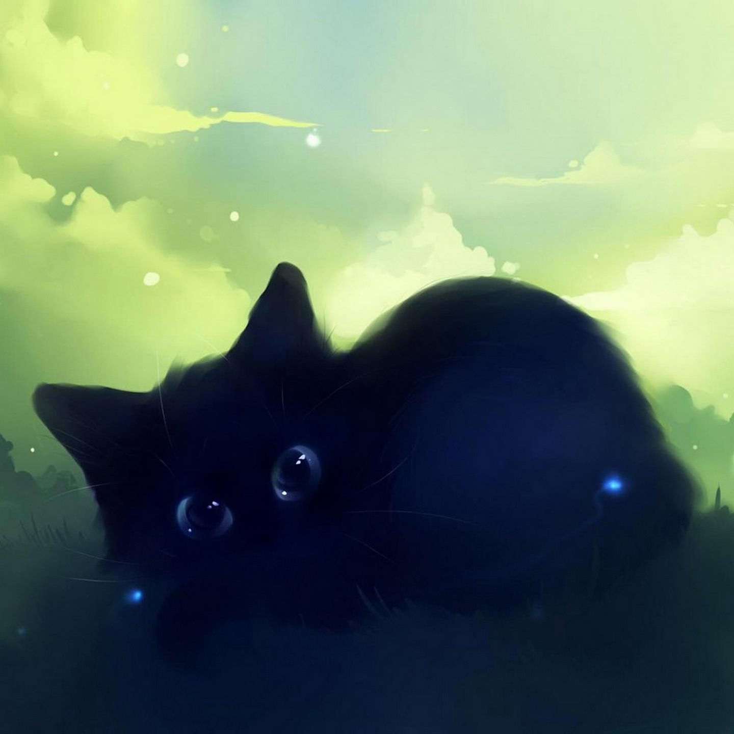 Detail Wallpaper Kucing Hitam Nomer 29