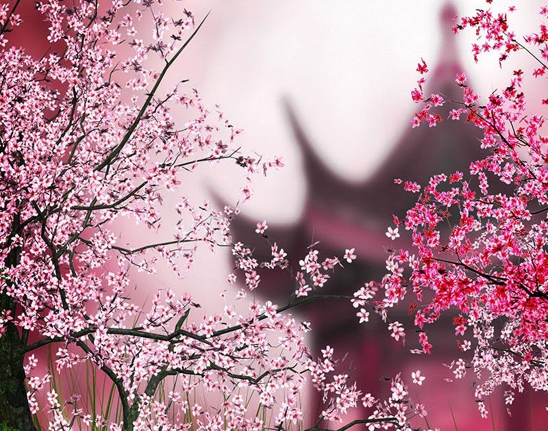 Detail Animasi Bergerak Bunga Sakura Berguguran Nomer 24