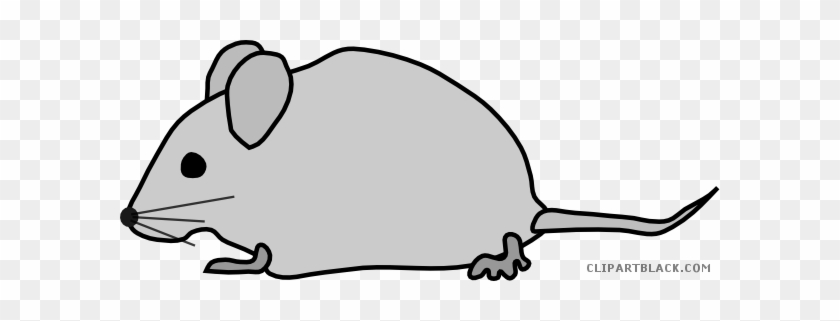 Detail Bild Maus Nomer 10
