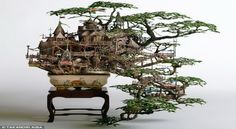 Detail Bonsai Terindah Di Dunia Nomer 32