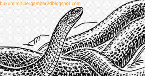 Detail Buku Mimpi Togel 3d Ular Nomer 8