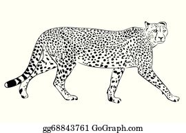 Detail Cheetah Black And White Clipart Nomer 13