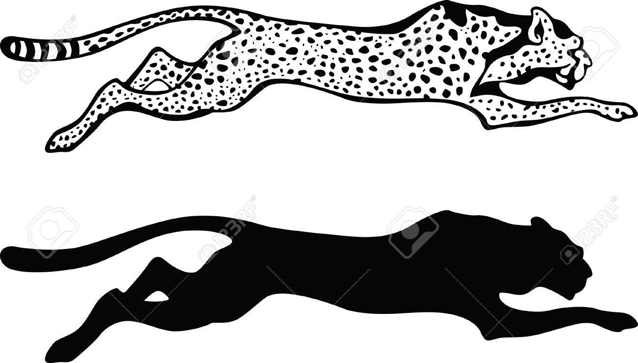 Detail Cheetah Black And White Clipart Nomer 19