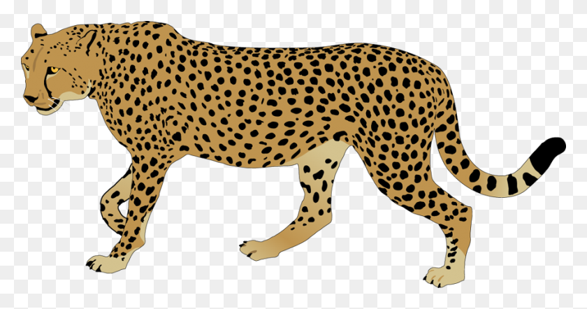 Detail Cheetah Black And White Clipart Nomer 39