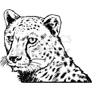 Detail Cheetah Black And White Clipart Nomer 40