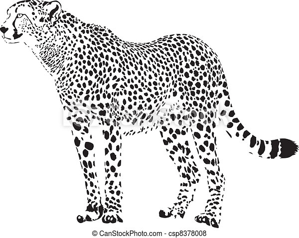 Detail Cheetah Black And White Clipart Nomer 5