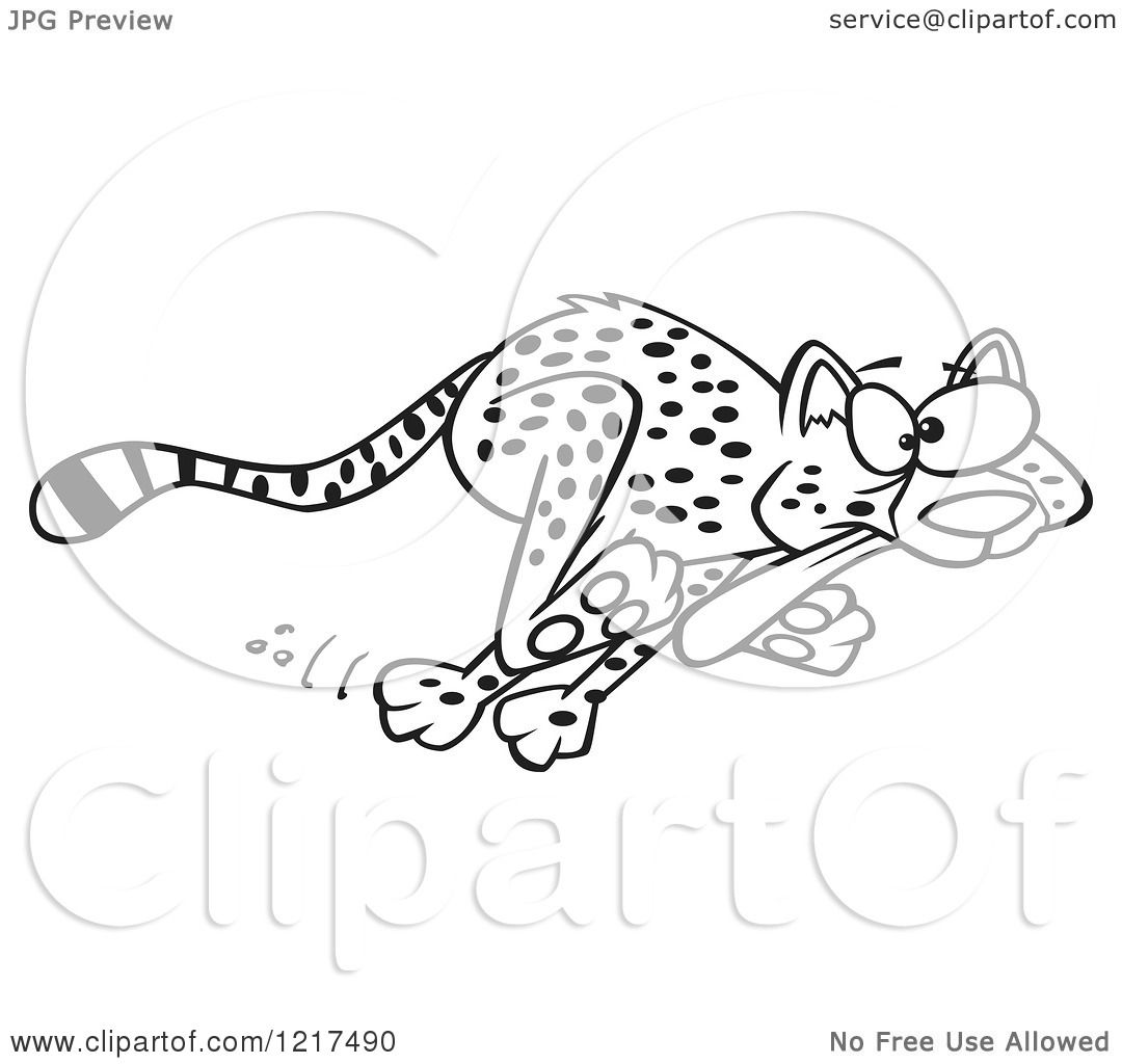 Detail Cheetah Black And White Clipart Nomer 44