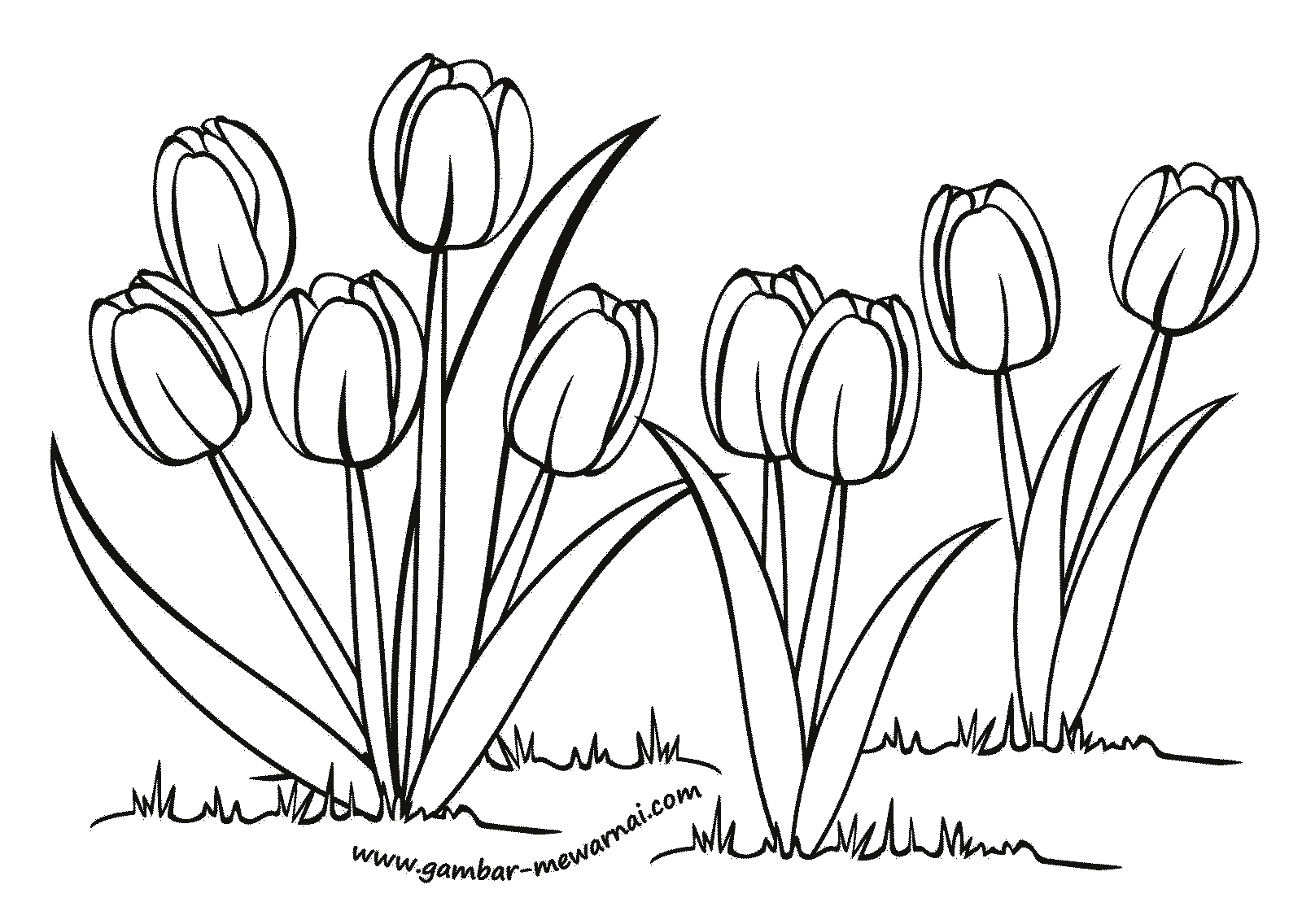 Detail Contoh Gambar Sketsa Flora Nomer 46