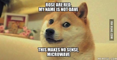 Detail Doge Meme Pictures Nomer 18