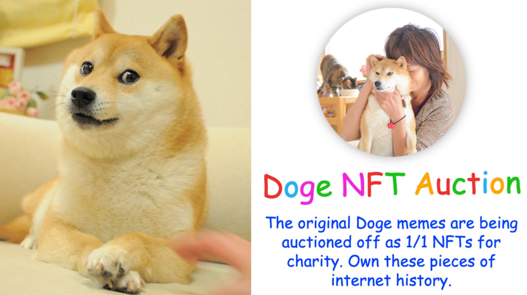 Detail Doge Meme Pictures Nomer 28