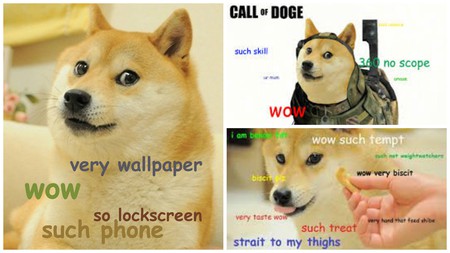 Detail Doge Meme Pictures Nomer 33