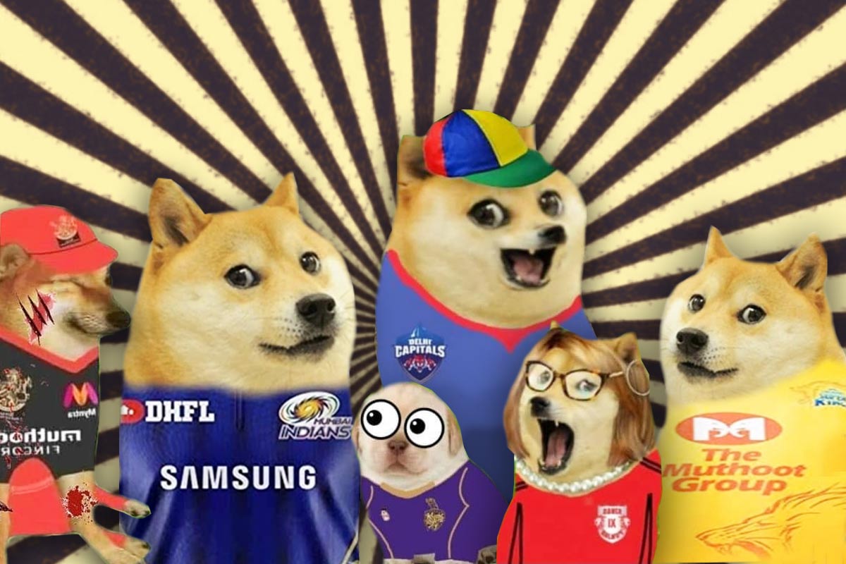 Detail Doge Meme Pictures Nomer 42