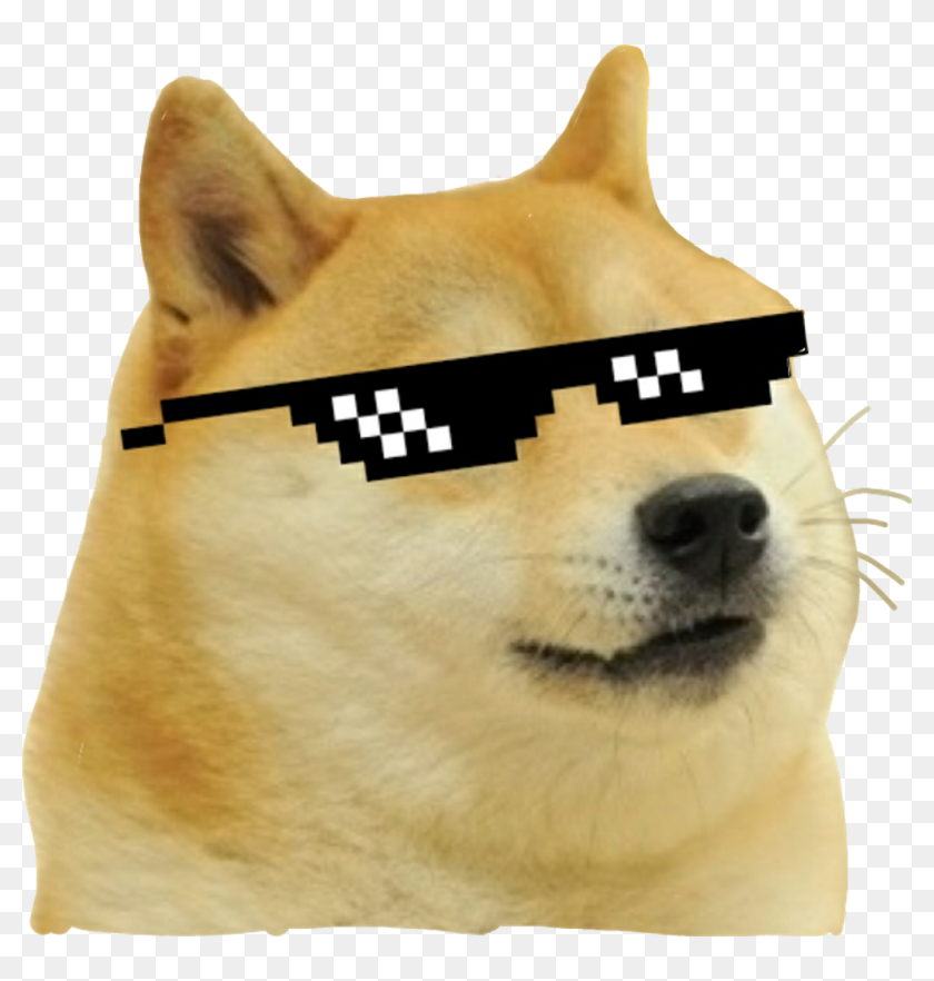 Detail Doge Meme Pictures Nomer 43