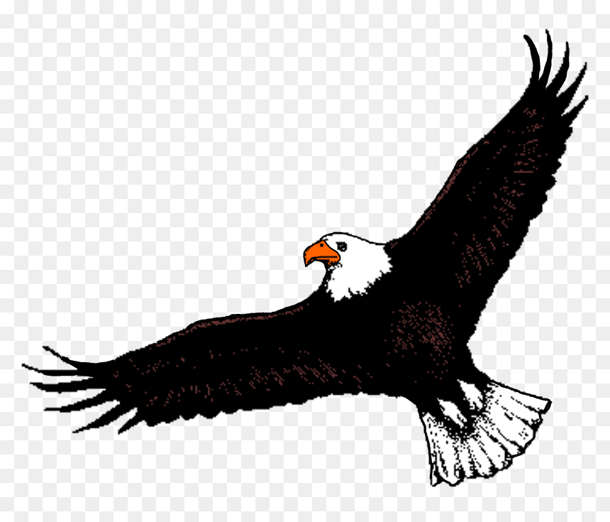 Detail Eagle Clipart Png Nomer 42