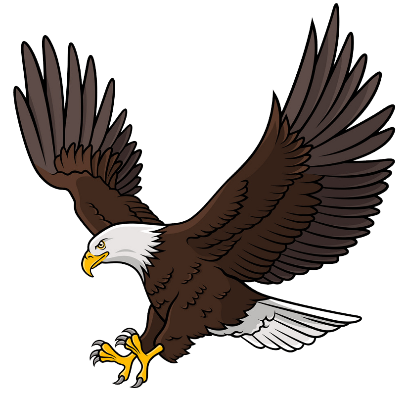 Detail Eagle Clipart Png Nomer 5