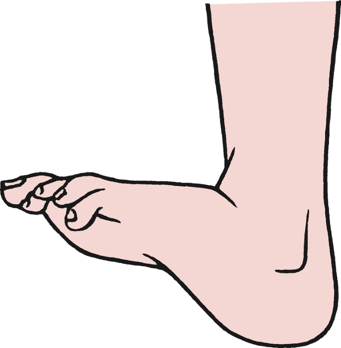 Detail Eversion Fuss Nomer 5