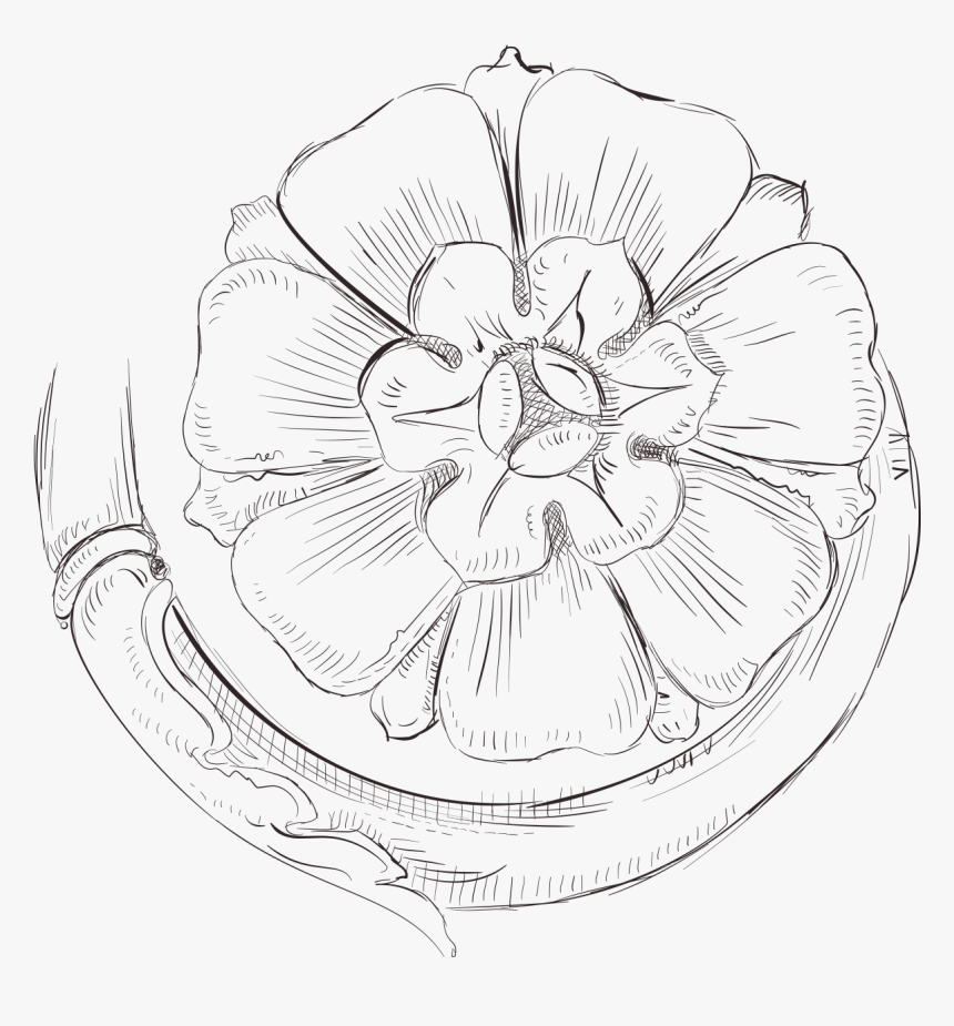 Detail Gambar Bunga Lukisan Pensil Nomer 21