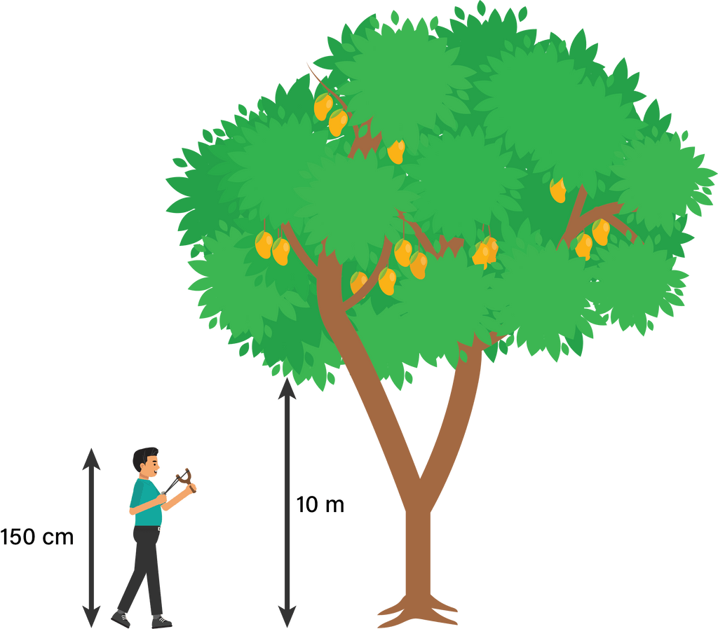 Detail Gambar Pohon Mangga Dan Penjelasannya Nomer 29