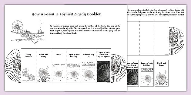 Detail Gambar Zig Zag Ban Nomer 17