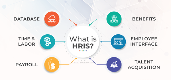 Detail Human Resources Database Template Nomer 24