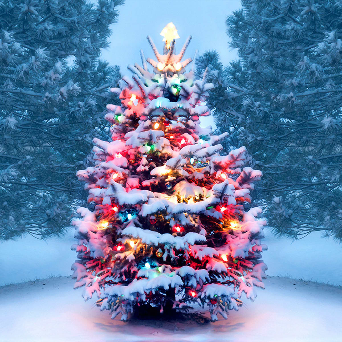 Image Of A Christmas Tree - KibrisPDR