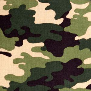 Detail Motif Loreng Tentara Nomer 6