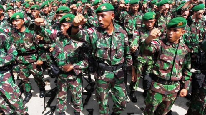 Detail Motif Loreng Tentara Nomer 10