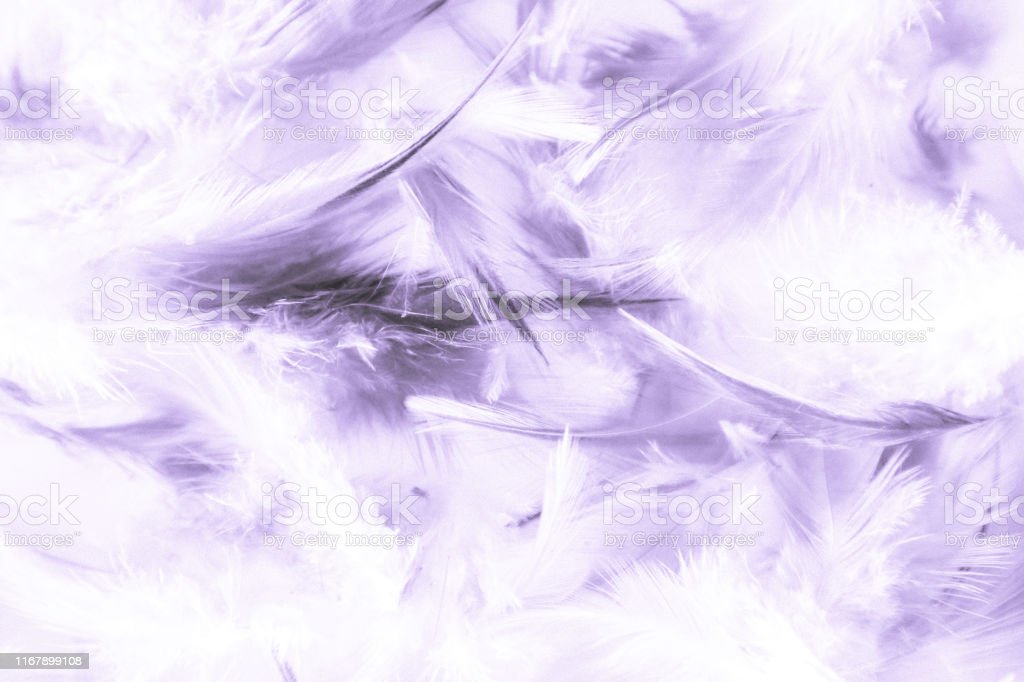 Detail Background Warna Ungu Abstrak Nomer 12