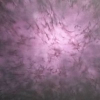 Detail Background Warna Ungu Abstrak Nomer 23